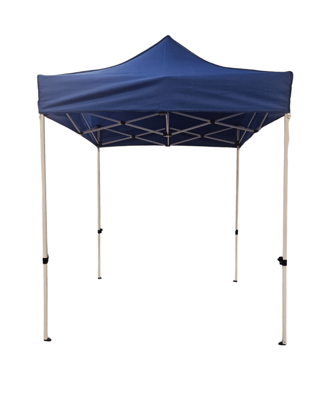 Toldo Plegable 2×2